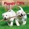 Plato; Puppy Pals | 2027 12 x 24 Inch (Hanging) Monthly Square Wall Calendar | Foil Stamped Cover; Category:Wall Calendars; Image:2
